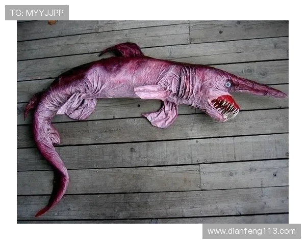 俄罗斯与墨西哥跨时空直播连线精彩呈现 俄罗斯与墨西哥跨时空直播连线精彩呈现